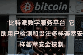 比特派数字服务平台  它好像匡助用户检测和贯注多样荟萃安全挟制